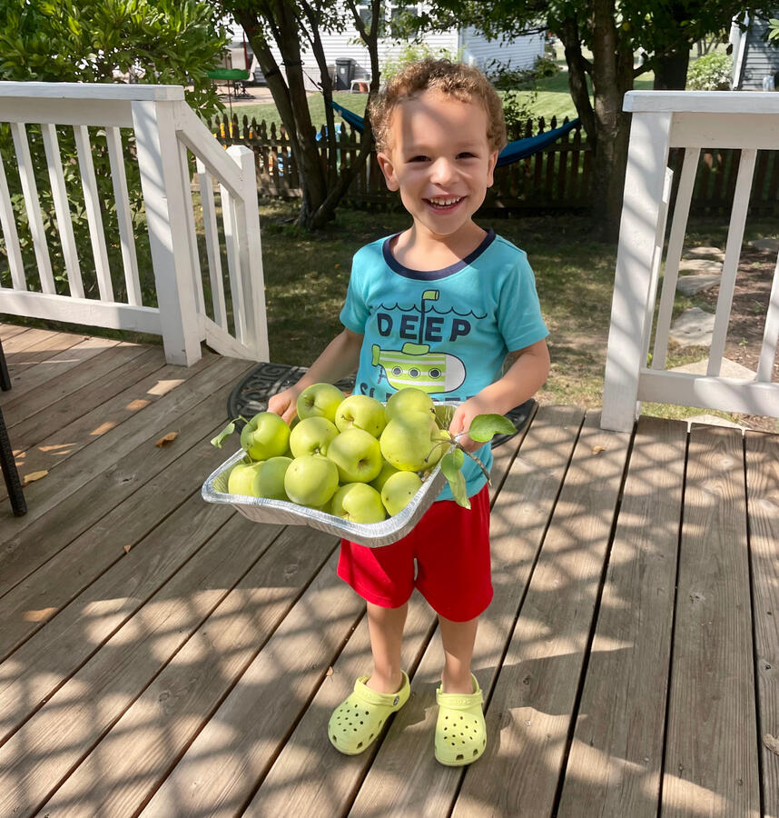 Apple picking in the backyard! How awesome is this experience?! 🍏